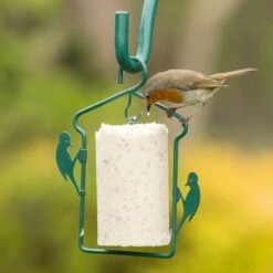 National Trust Gourmet Robin Peanut Cake (500 Ml) -Bird Supply Store 10025 01