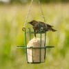 Peanut Cake Tube Hi-Protein For Starling (1 Litre) -Bird Supply Store 10043