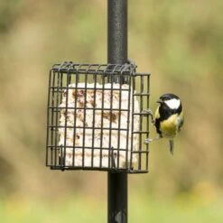 Peanut Cake Square Supreme 16 Peanut Cake Square Supreme -Bird Supply Store 10077 03