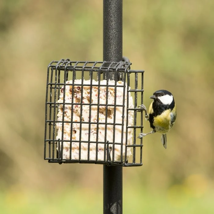 Peanut Cake Square Supreme 9 Peanut Cake Square Supreme - Image 7