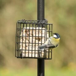 Peanut Cake Square Supreme 15 Peanut Cake Square Supreme -Bird Supply Store 10077 04