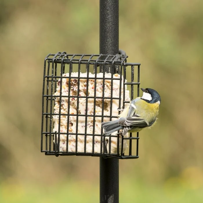 Peanut Cake Square Supreme 8 Peanut Cake Square Supreme - Image 6