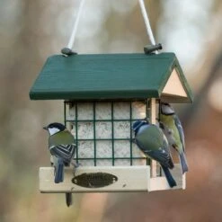 National Trust Insect Peanut Cake 300g -Bird Supply Store 10081 03