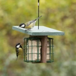 Peanut Cake Square Original 7 Peanut Cake Square Original -Bird Supply Store 10082 03