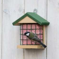 Peanut Cake Square Very Berry -Bird Supply Store 10083 03