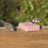 Peanut Cake Square Very Berry -Bird Supply Store 10083 2 1