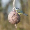 Giant Fat Ball On A Rope - Berries -Bird Supply Store 10098 1 2