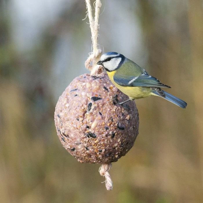 Giant Fat Ball On A Rope - Berries 3 Giant Fat Ball On A Rope - Berries