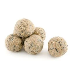 Fat Balls Original - 6 Pack -Bird Supply Store 10213 1 1