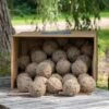 Box Of 50 Ultimate Fat Balls With Insects -Bird Supply Store 10226