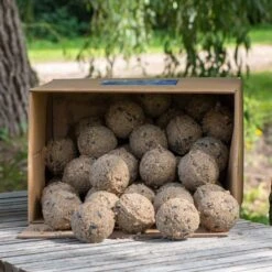 Box Of 50 Ultimate Fat Balls With Insects