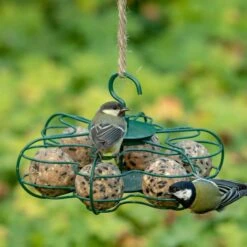 National Trust Ultimate Fat Balls - 6 Pack -Bird Supply Store 10276 6