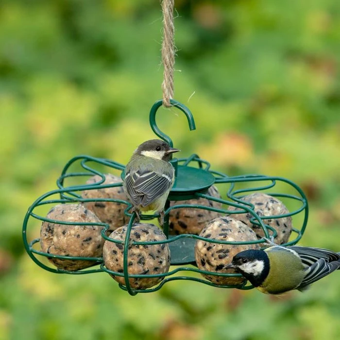 Box Of 50 Ultimate Fat Balls 5 Box Of 50 Ultimate Fat Balls - Image 3