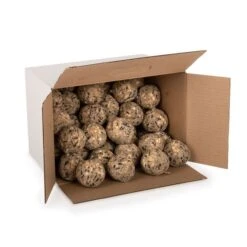 Box Of 50 Ultimate Fat Balls 15 Box Of 50 Ultimate Fat Balls -Bird Supply Store 10278 02