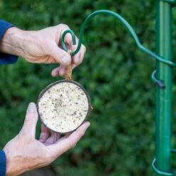 Half Coconut With Peanut Butter Bird Food 8 Half Coconut With Peanut Butter Bird Food -Bird Supply Store 102790119 1