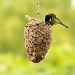 Peanut Butter Filled Pine Cone For Birds -Bird Supply Store 10280 4