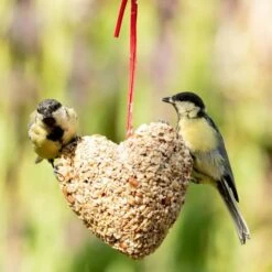 Peanut & Sunflower Heart -Bird Supply Store 10289 3