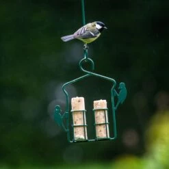 Energy Rolls With Insect Fat - 6 Pack