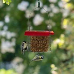 Dried Mealworm Square For Birds 90g -Bird Supply Store 106640119 qm 6703