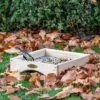 Kandava Ground Bird Feeding Table 1 Kandava Ground Bird Feeding Table -Bird Supply Store 109950119 311030119 jvg 2182
