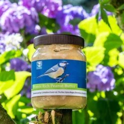 Protein Rich Peanut Butter For Birds - Bundle Of 4 -Bird Supply Store 111730111 protein rich peanut butter sw sem low res 8632