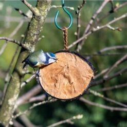 Half Coconut With Protein Rich Peanut Butter