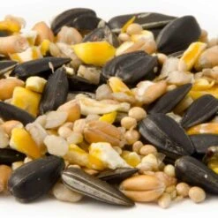 National Trust Garden Bird Table Seed -Bird Supply Store 13005