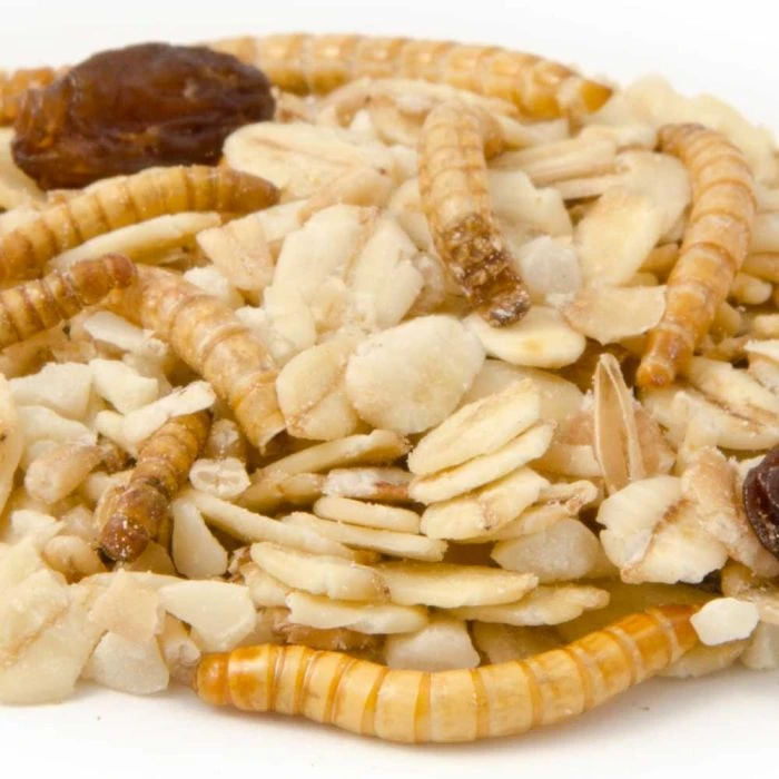 Muesli With Mealworms (2.5kg) 4 Muesli With Mealworms (2.5kg) - Image 2