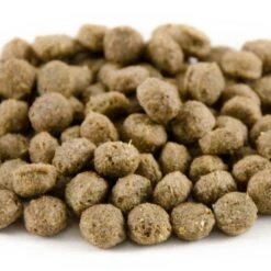 National Trust Kids Duck & Swan Food -Bird Supply Store 16002 4