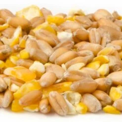 Mixed Corn For Larger Ground Feeding Birds -Bird Supply Store 18005 3