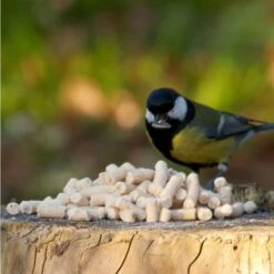 Suet Pellets With Mealworms