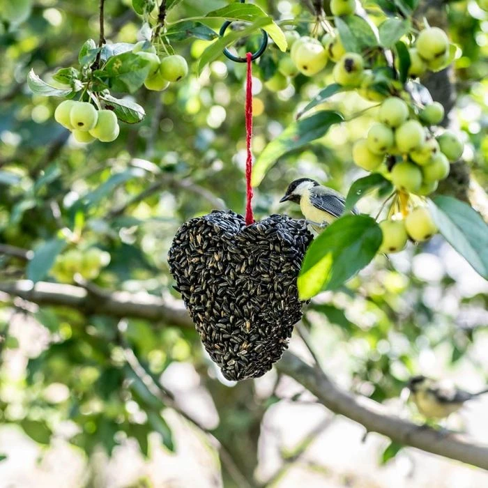 Black Sunflower Heart 4 Black Sunflower Heart - Image 2