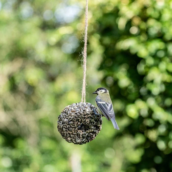 Striped Sunflowers Ring 3 Striped Sunflowers Ring