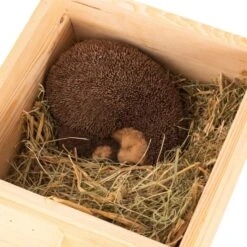Hedgehog Bedding 500g 8 Hedgehog Bedding 500g -Bird Supply Store 19056