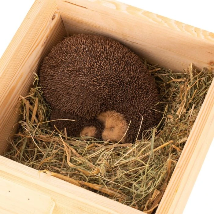 Hedgehog Bedding 500g 5 Hedgehog Bedding 500g - Image 3