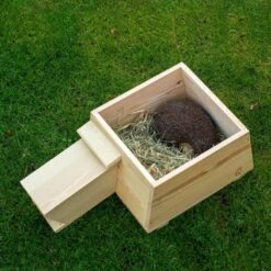 Hedgehog Bedding 500g 9 Hedgehog Bedding 500g -Bird Supply Store 190560119 hedgehog bedding 2