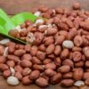 Premium Whole Peanuts - Bird Food -Bird Supply Store 200440119 jvg 1997