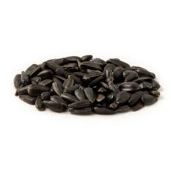 Organic Black Sunflower Seeds 2.5kg - Bird Food -Bird Supply Store 23004 zwarte zonnebloempitten es 1