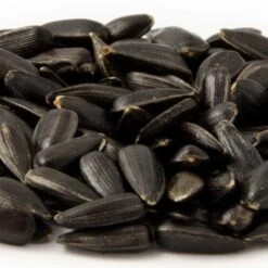Organic Black Sunflower Seeds 2.5kg - Bird Food -Bird Supply Store 23005 1