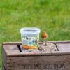 National Trust Kids Robin & Blackbird Mix -Bird Supply Store 280240121 national trust kids robin blackbird mix tub sw low res 8119