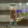 Discovery Plastic Peanut Window Feeder 1 Discovery Plastic Peanut Window Feeder -Bird Supply Store 30069 1