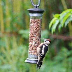 National Trust Apollo Peanut Feeder -Bird Supply Store 30095 3