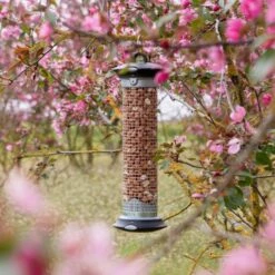 National Trust Premium Peanuts For Birds -Bird Supply Store 300950119 apollo peanut feeder 200450120 premium whole peanuts dv 0742 2