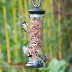 National Trust Apollo Peanut Feeder -Bird Supply Store 30095 1