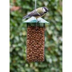 Green Peanut Feeder Cage -Bird Supply Store 30107