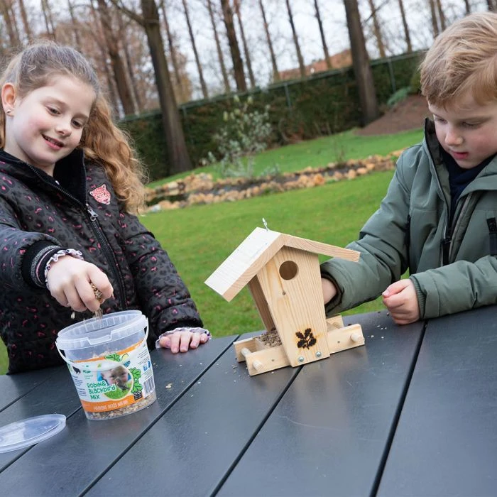 National Trust Kids Robin & Blackbird Mix - Image 2