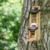 Gabriola Double Squirrel Feeder -Bird Supply Store 303030119 qm 8968 1