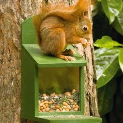 Alberni Squirrel Feeder 11 Alberni Squirrel Feeder -Bird Supply Store 30305 4 2