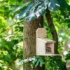 Build-Your-Own Sanjo Squirrel Feeder -Bird Supply Store 303130119 sanjo squirrel house sw low res 4705