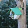 LONA Peanut Butter Feeding Station H1 -Bird Supply Store 310330119 lona angy 0272